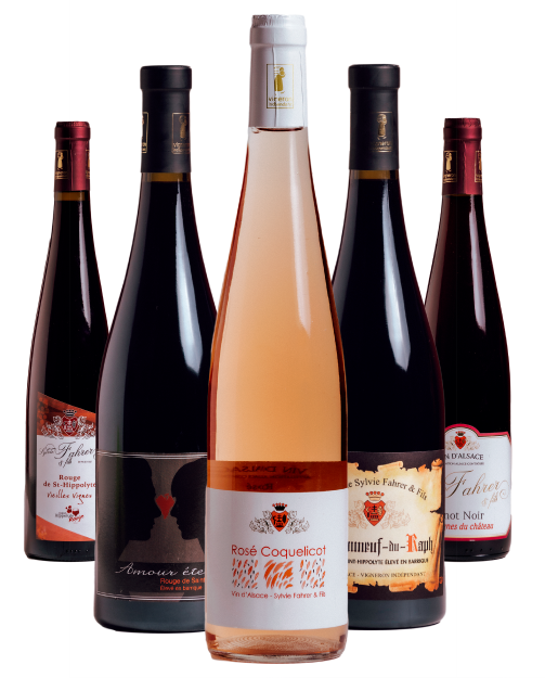 Bouteilles de rouge, Domaine Sylvie Fahrer et Fils Bouteilles de vin rosé et de vin rouge