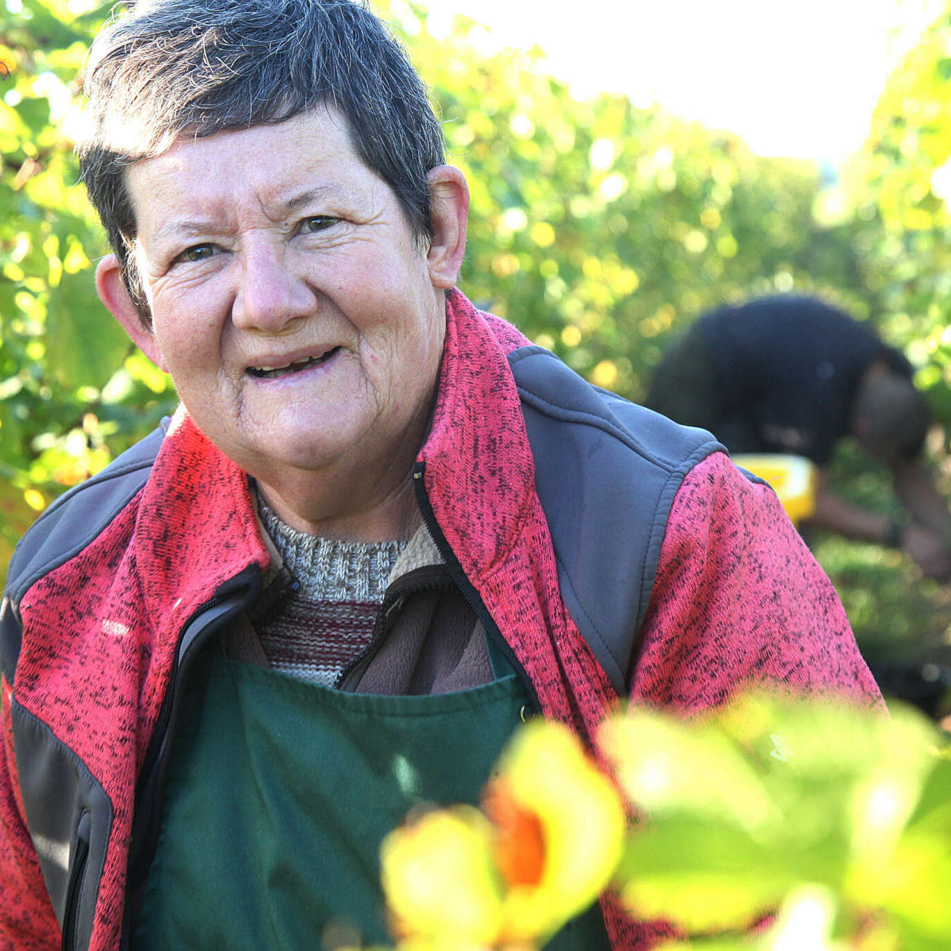 Viticultrice Alsace Vignes Alsace BIO