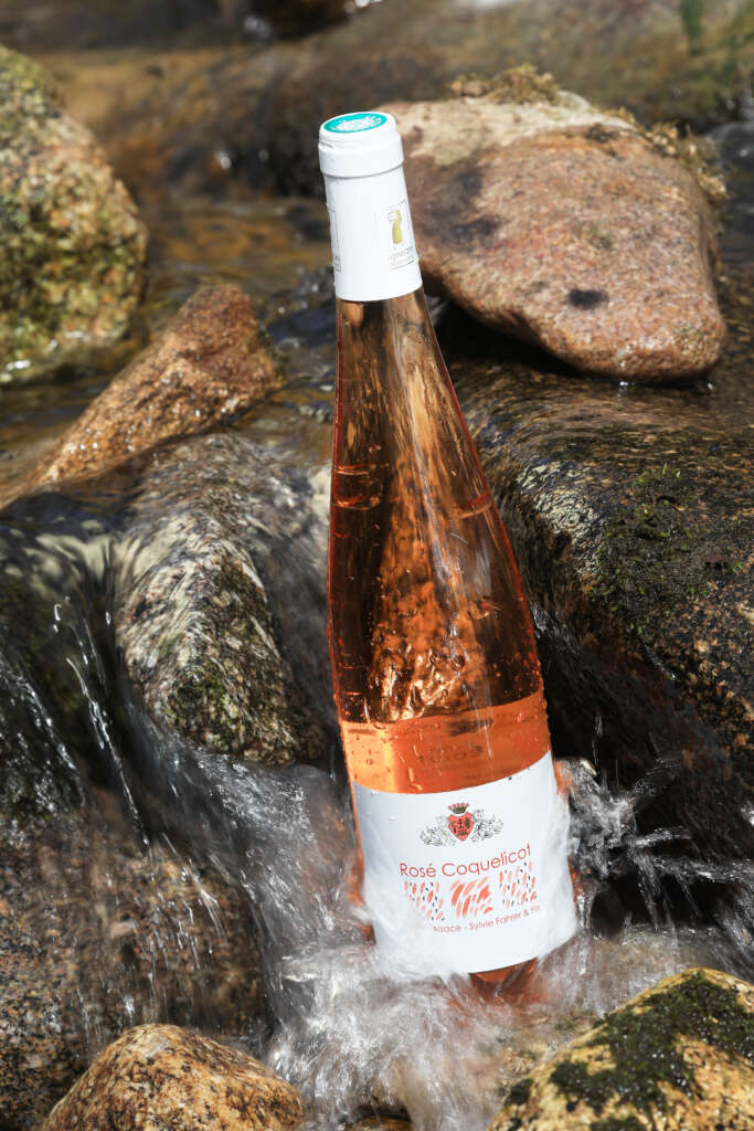 Rosé pour l'été Rosé d'Alsace Pinot Noir