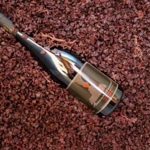 Rouge de St Hippolyte Pinot Noir Vin Pinot Noir Rouge de St Hippolyte